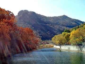 探索澳门彩票文化，2025天天开奖好彩大全及新澳门六开彩的奥秘