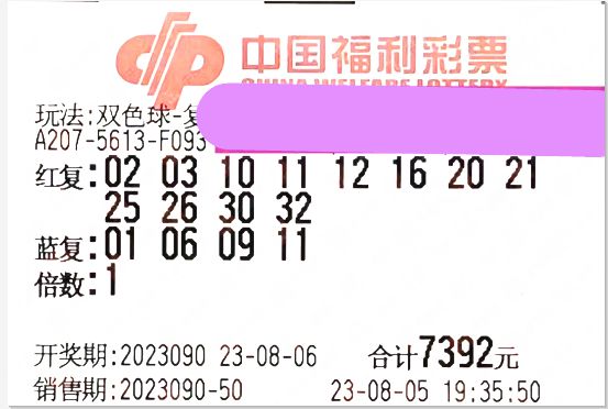 新奥彩票，一种期待与梦想的游戏