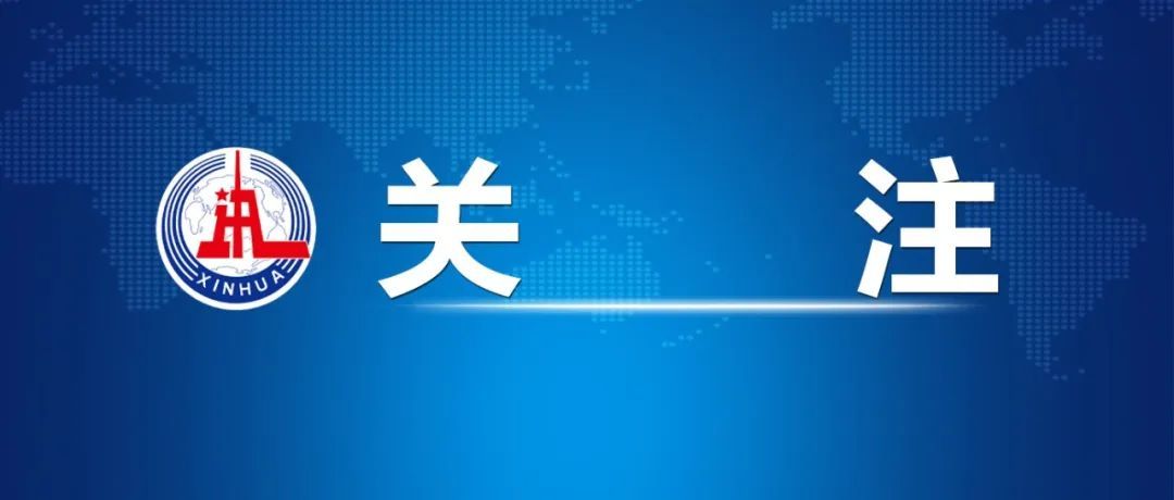 澳门正版资料免费大全新闻第067期深度解析，数字连线与资讯前沿的交汇点