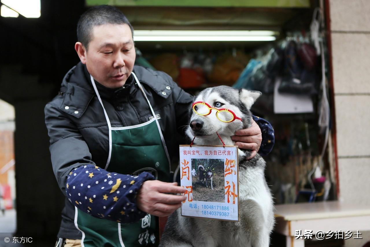 揭秘精准四肖预测，专家解答与深度解读