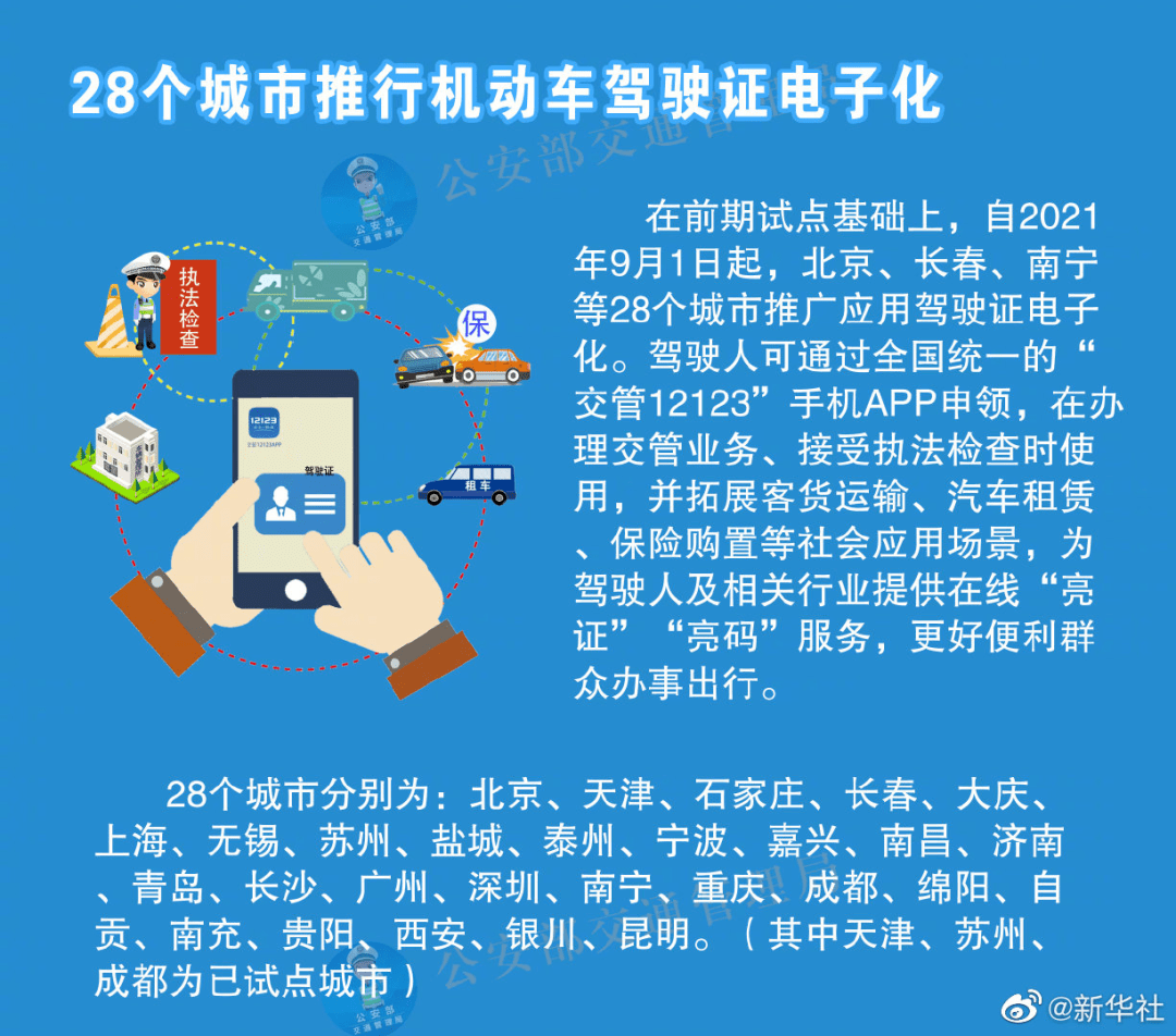 精准四肖解析，77778888的奥秘与落实策略