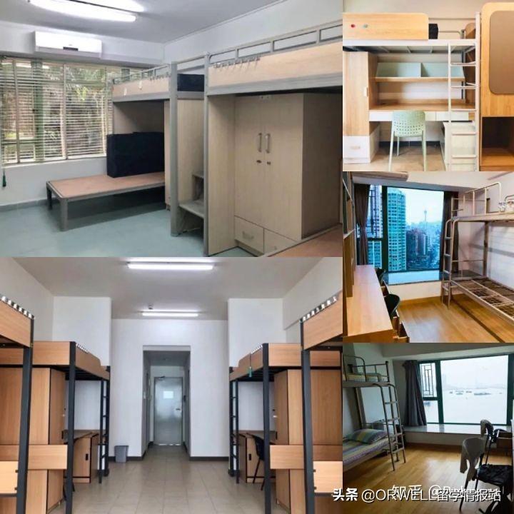 探索未来的新澳门与香港，精准实用释义、深度解释与具体落实策略