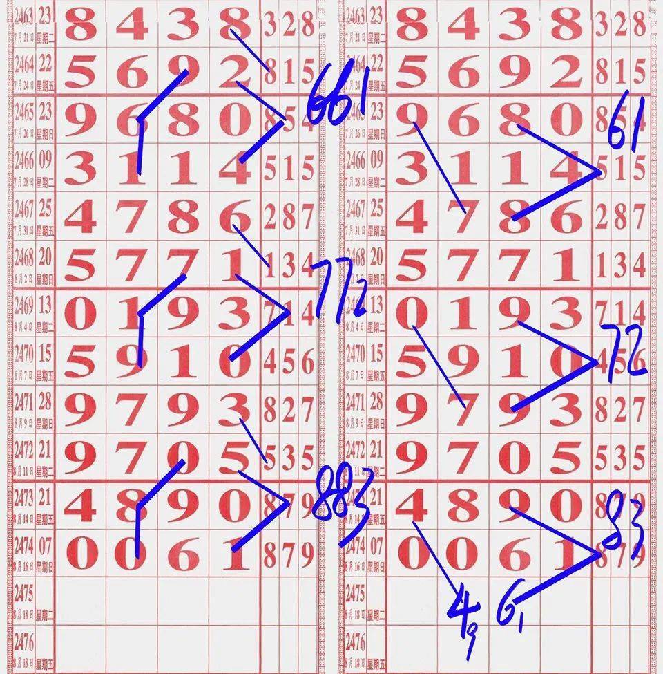 三肖必中的概念解析