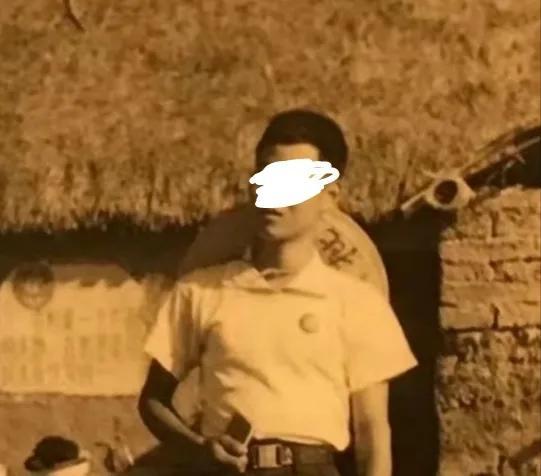 揭秘精准四肖，深度解答、解释与落实策略