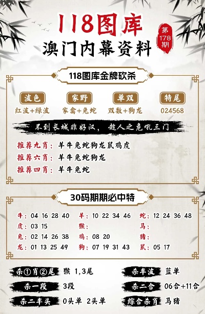 澳门正版资料免费大全新闻第067期，深度解析与探索
