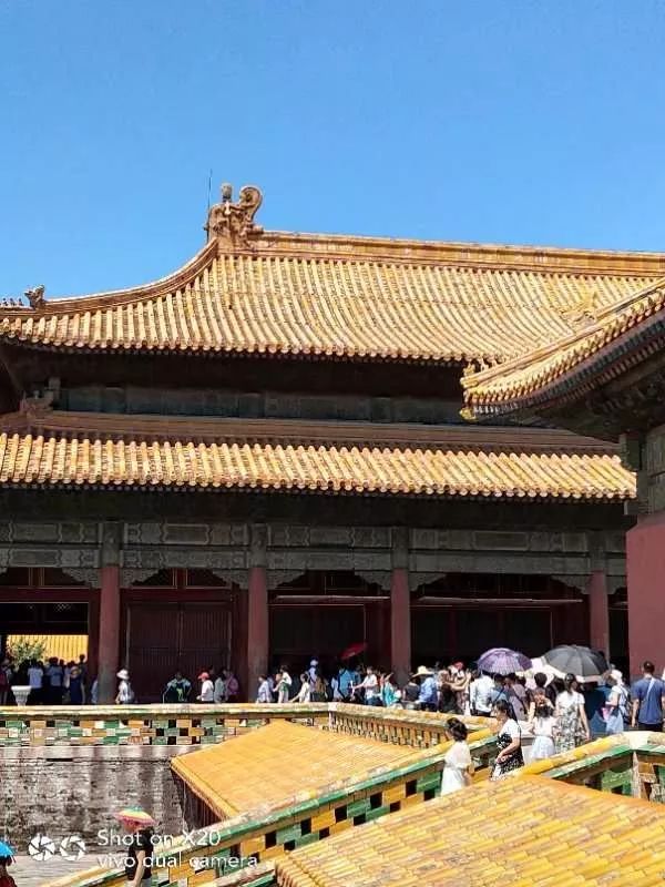 澳门期期四肖与刘伯温必中六肖—探寻澳彩广东会的奥秘
