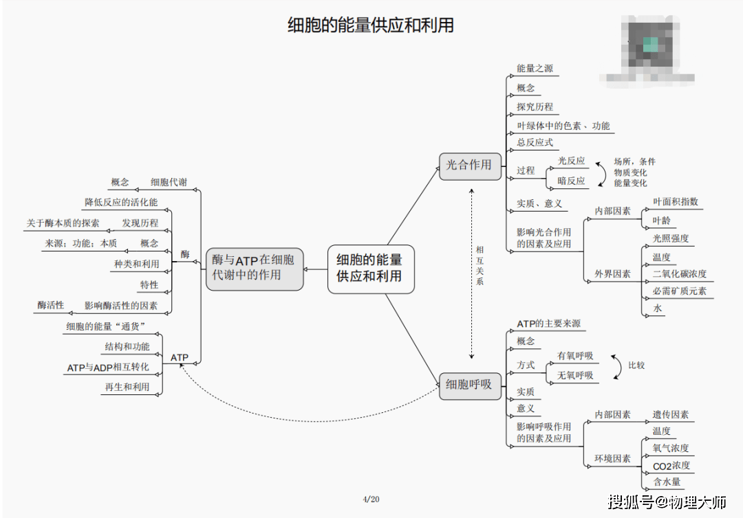 什么是三肖必中三期必出资料