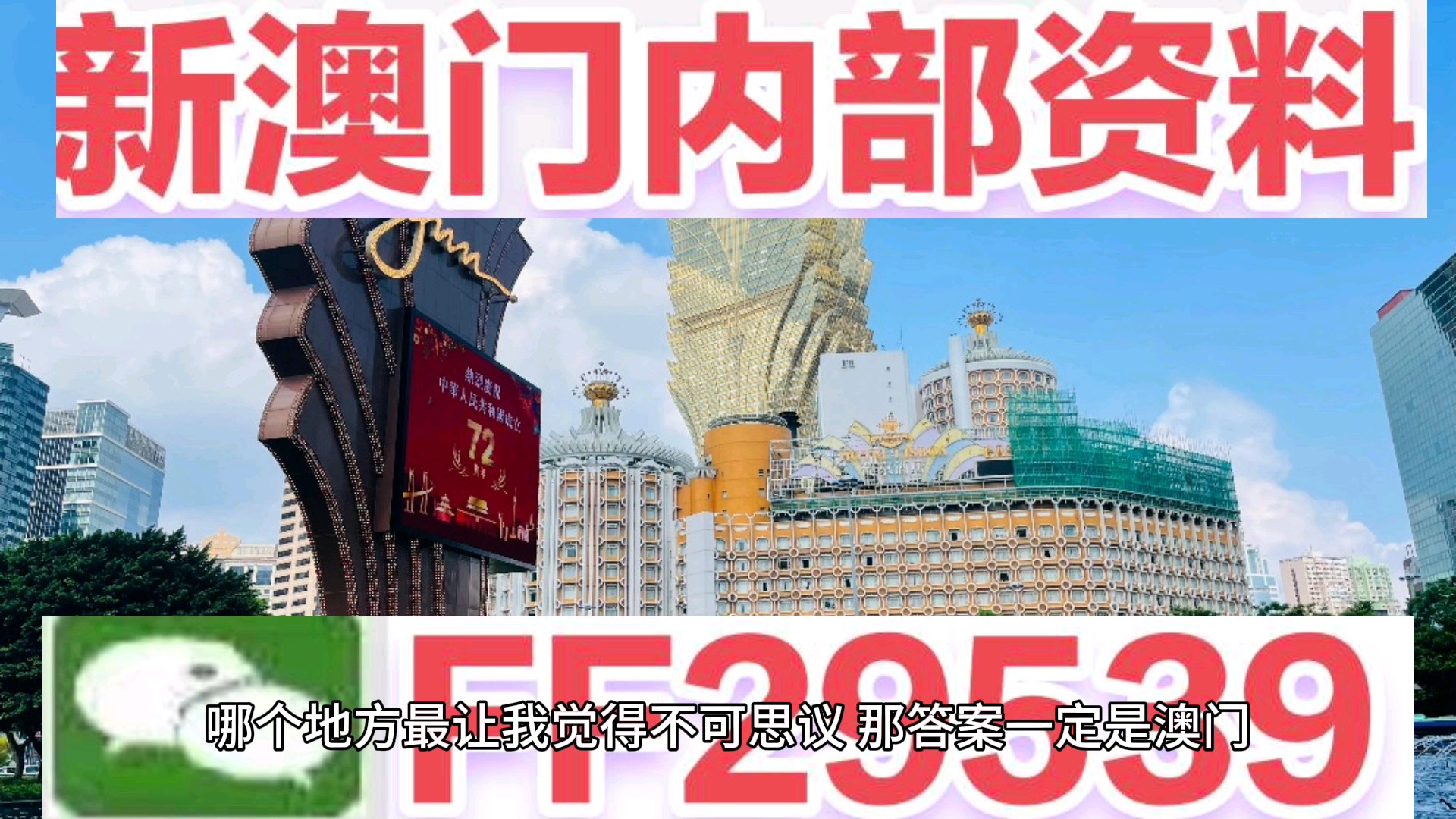 解析与落实，新澳门天天开好彩精选展望（2025版）