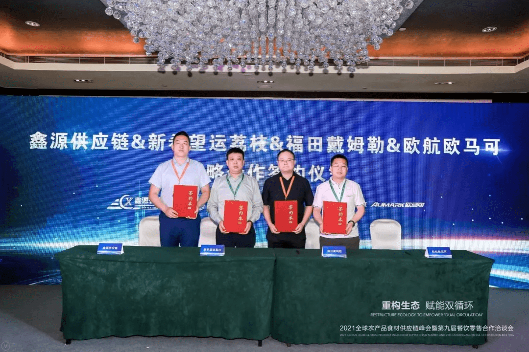 澳门王中王未来走向与科学解答解释落实，迈向2025年的探索之旅
