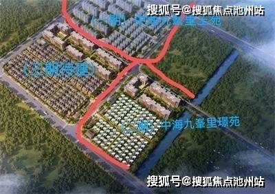 揭秘新奥开码结果背后的真相，探索未来的预测与真相的探寻之旅