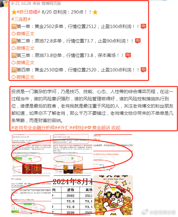 揭秘真相，警惕虚假宣传下的澳门管家婆—实证解读与全面解析