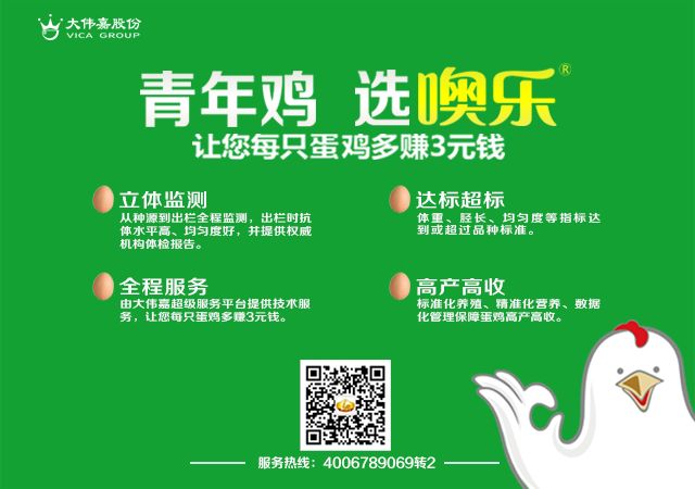 探索管家婆2025正版资料大全，正版资料的独特价值与重要性