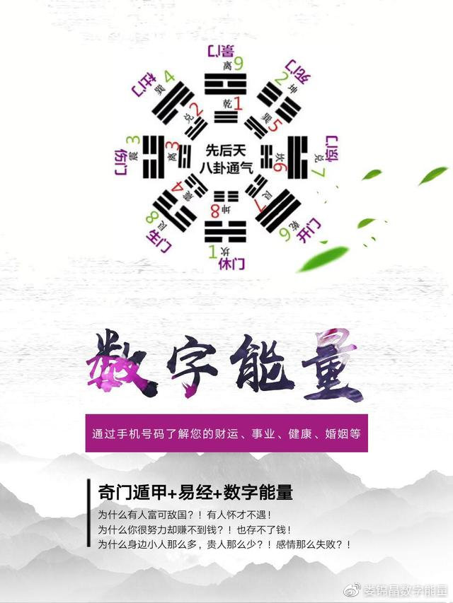 精准四肖中特数据支持，探索77777与88888的神秘组合及其在预测中的应用与落实