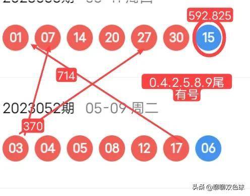 精准四肖，解读与落实策略