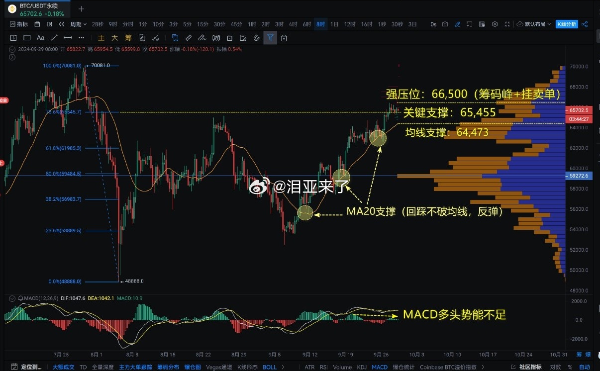 精准四肖中特数据支持，探索77777与88888的神秘关联及其实践应用