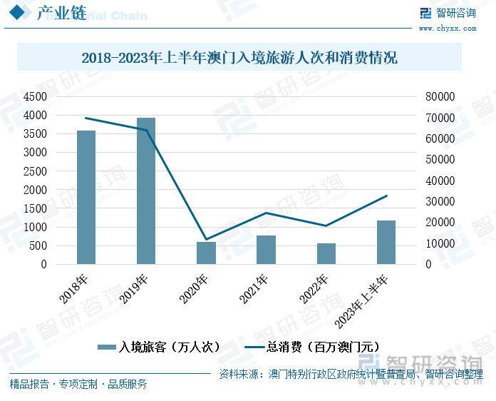 澳门王中王的未来展望与专家解读，深入解析澳门王中王100资料至2025年
